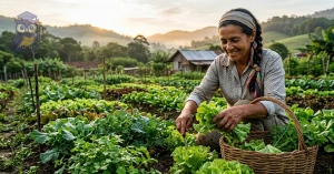 Curso de Curso Livre de Agroecologia e Sustentabilidade no Campo