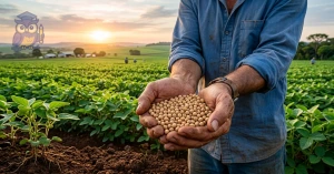 Curso de Curso Livre de Biotecnologia Aplicada à Agricultura