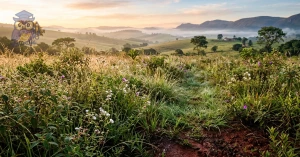 Curso de Curso Livre de Botânica e Identificação de Espécies Vegetais