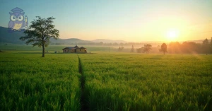 Curso de Curso Livre de Agronegócio na Prática