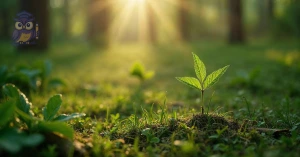 Curso de Curso Livre de Ambiente e Saúde